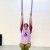 Exploring Aerial yoga
